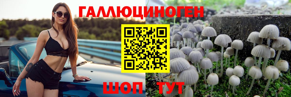 Елизово  Псилоцибиновые грибы ЛСД  Вход с VPN 